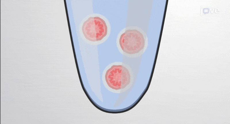BrRN gif 2