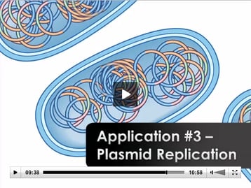 Bacterial Transformation: The Heat Shock Method