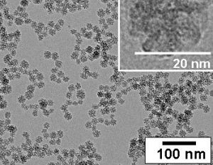 Transmission electron micrographs of 20nm silica nanoparticles.