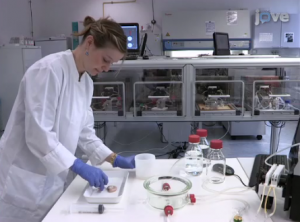 JoVE 3D Tumor Test System Biovasc