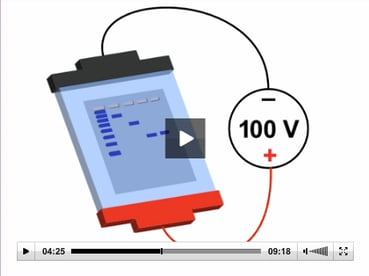 (2:18) In this segment of "DNA Gel Electrophoresis," we demonstrate how to properly run a DNA gel. DNA is negatively charged and will move toward the anode, which is positive, and generally red in color.
