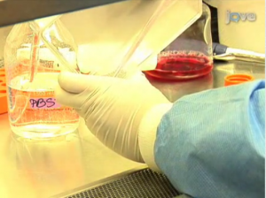 Dr. Rubin's JoVE Video Article: Part 1