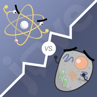 Atom vs Cell
