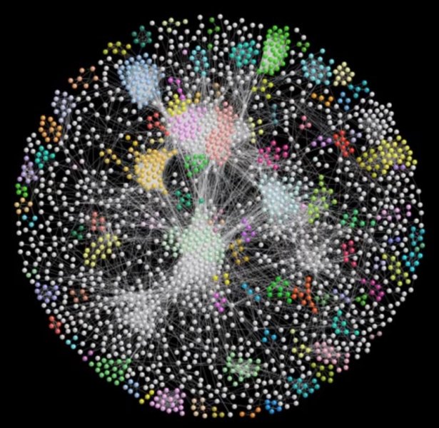 A representation of the protein interactions identified in fruit flies through the work of Spyros Artavanis-Tsakonas provides tremendous insight into the way diseases function and thereby the way they can be altered.