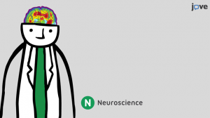 JoVE Neuroscience
