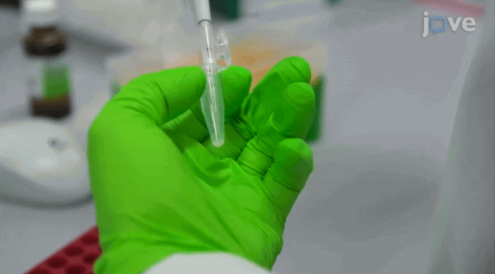 JoVE gif 4 (1)