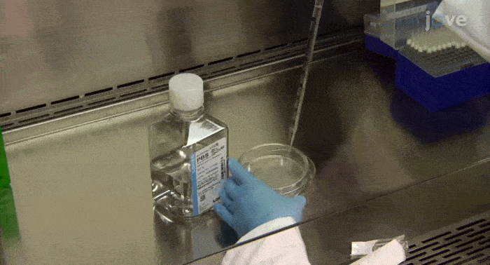 Mass spec gif (2)