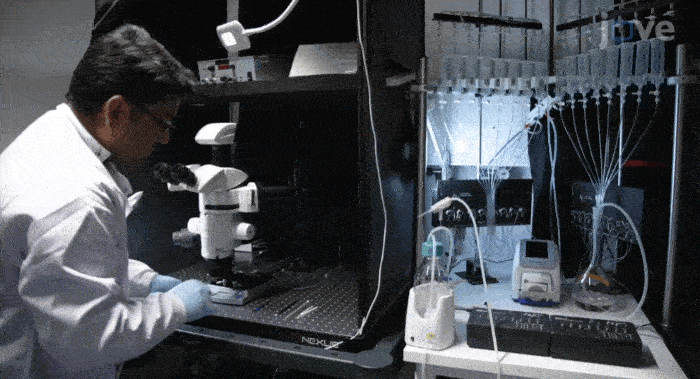 MethodsCollection (1)