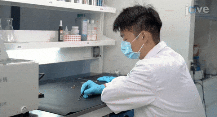 Neuroscience5-ezgif.com-optimize