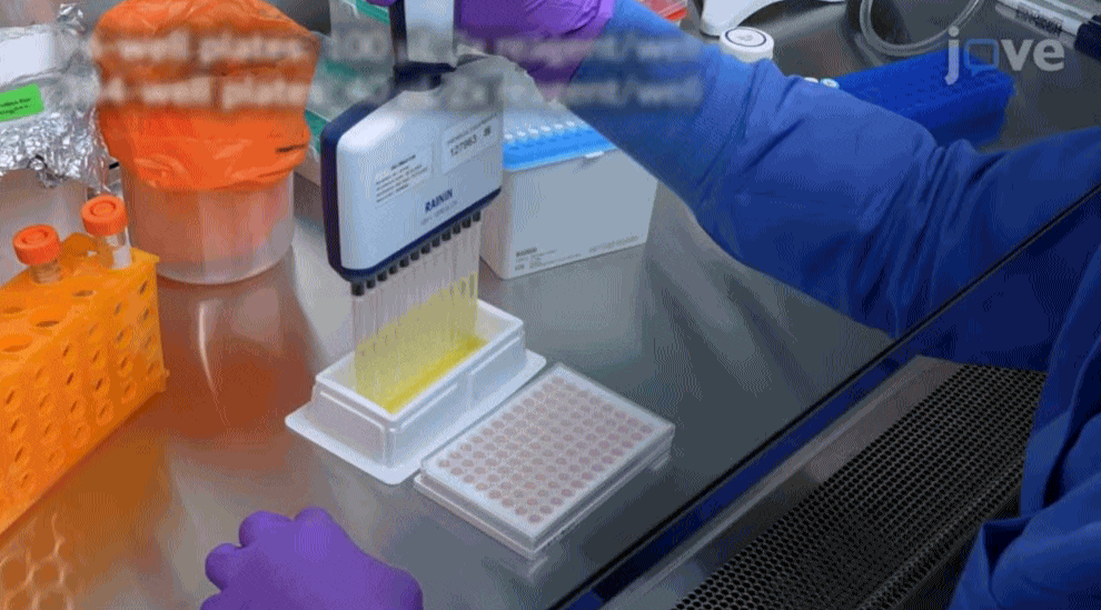 CRISPR