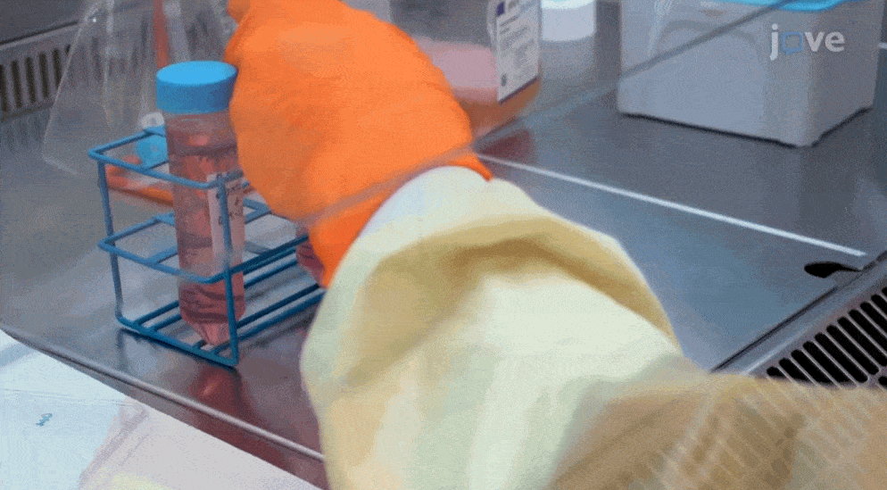 Videotraininggif1-ezgif.com-optimize