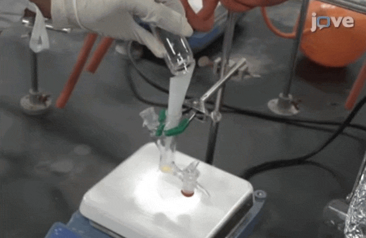 Yaghi GIF 1