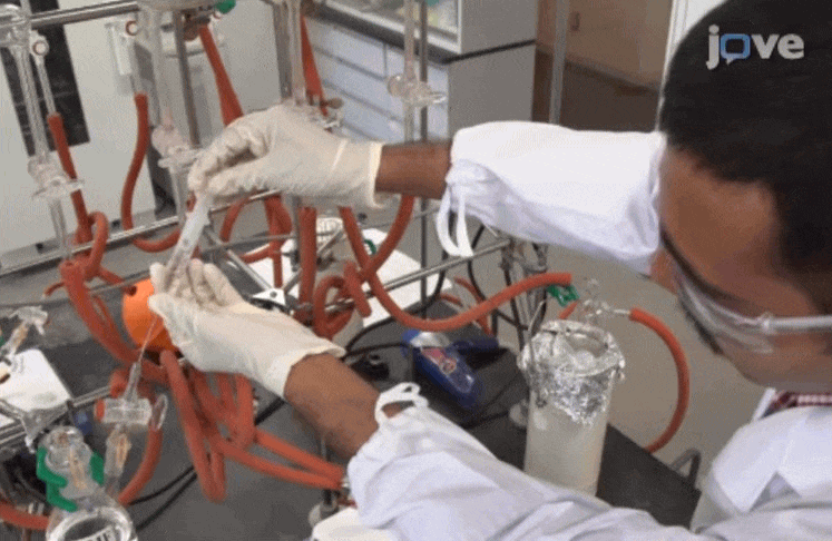 Yaghi GIF 2