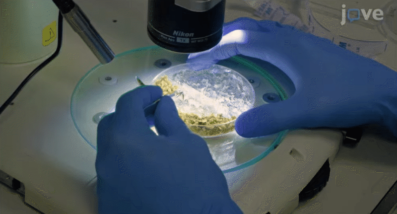 chrome-capture-2025-09-05 (2)