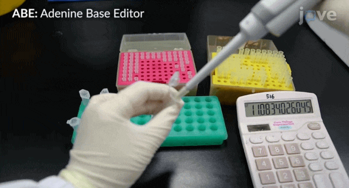 chrome-capture-2025-10-31 (2)