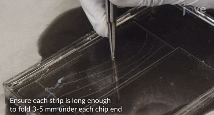 chrome-capture-2025-10-31