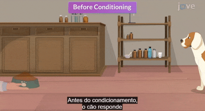 chrome-capture-2025-11-131-ezgif.com-optimize