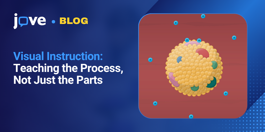 Visual Instruction: Teaching the Process, Not Just the Parts