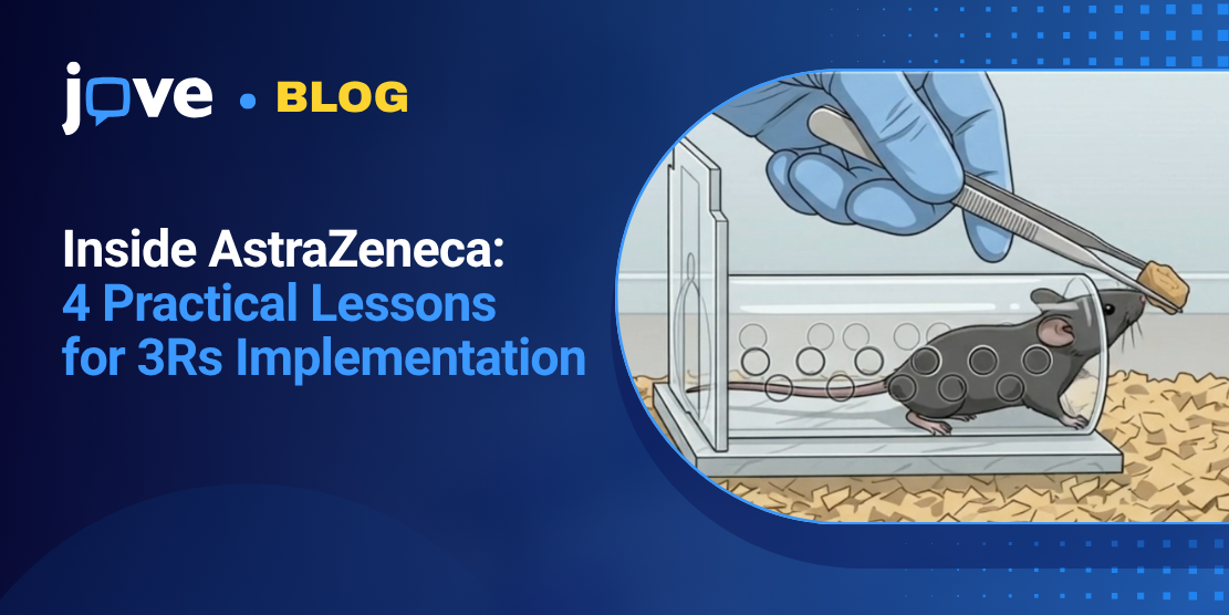 Inside AstraZeneca: 4 Practical Lessons for 3Rs Implementation